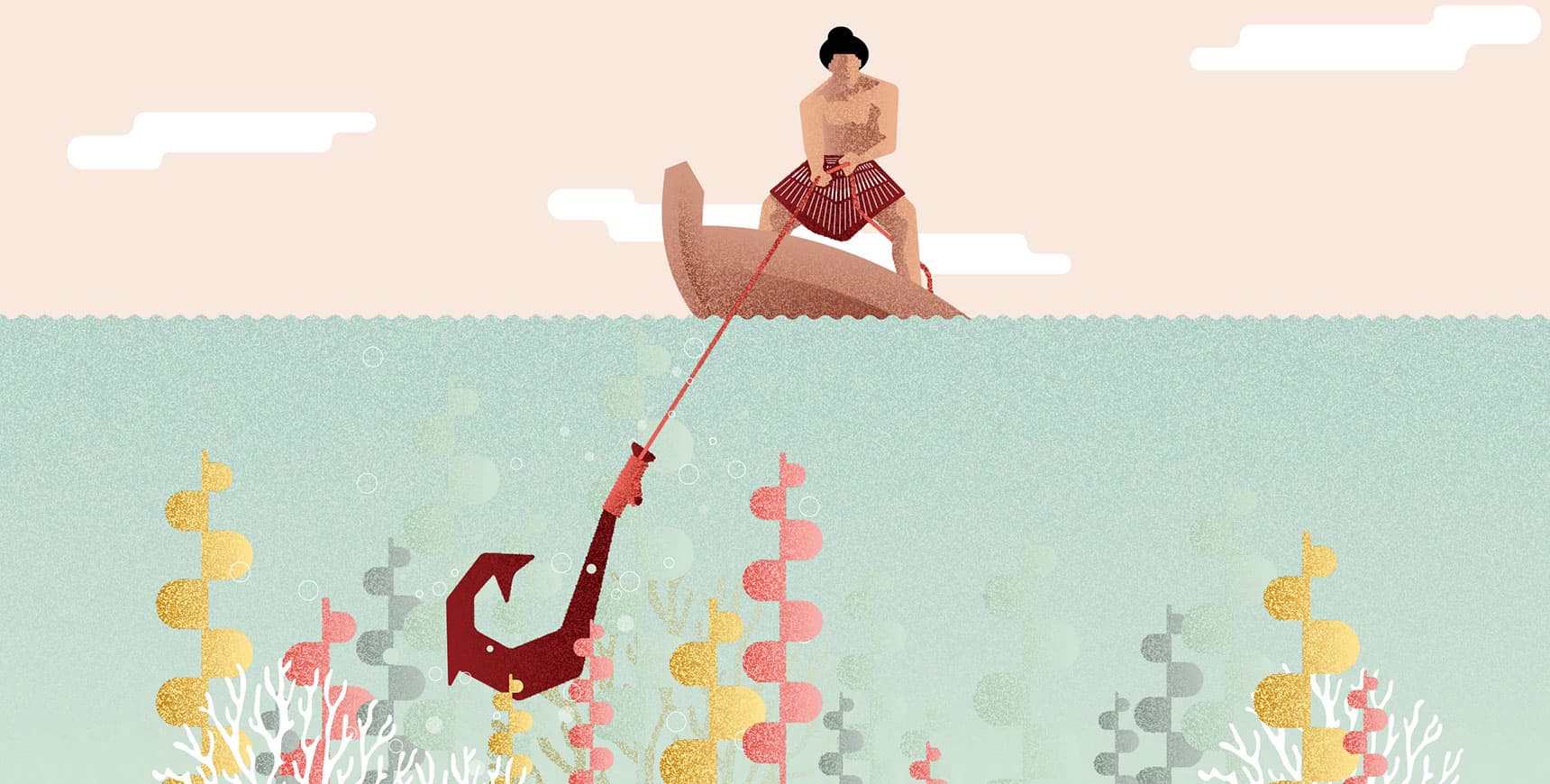 Rangitane Illustration Maui Fishing